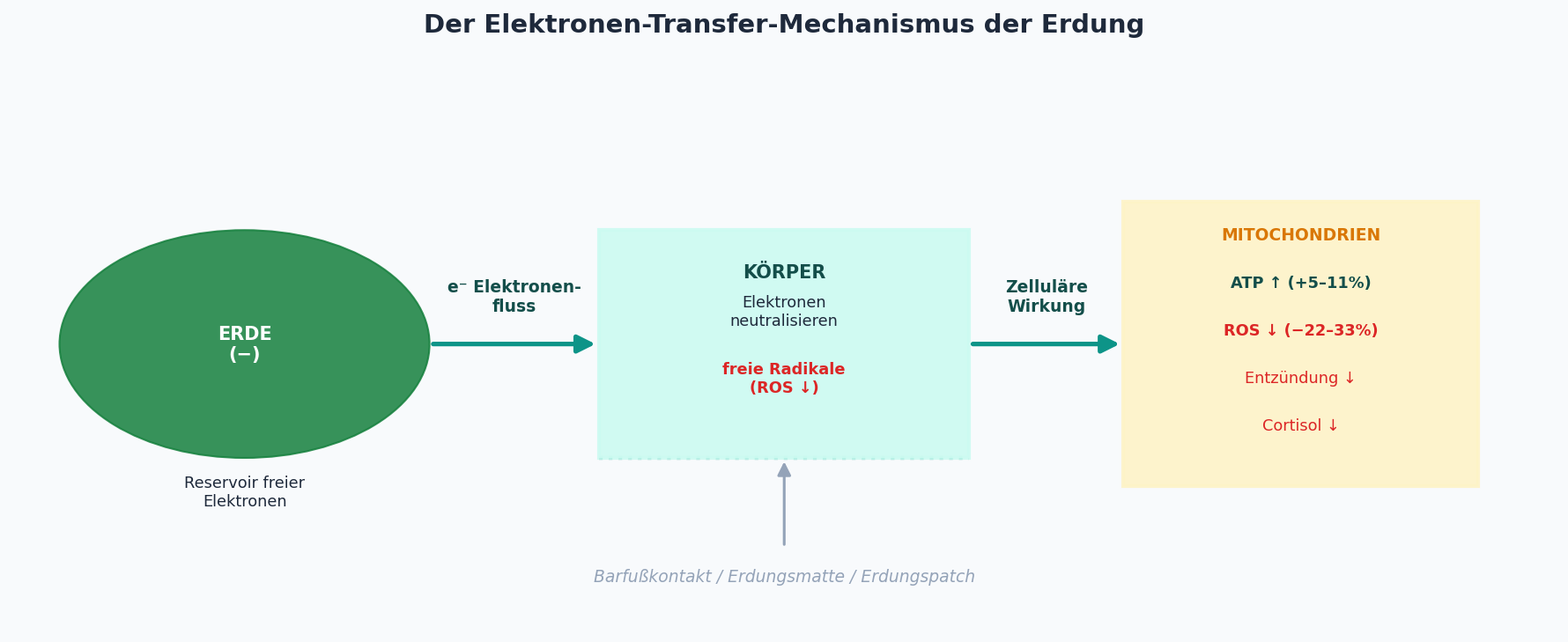Elektronen-Transfer-Mechanismus der Erdung
