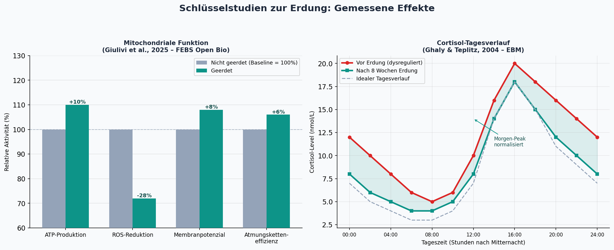 Schlüsselstudien zur Erdung
