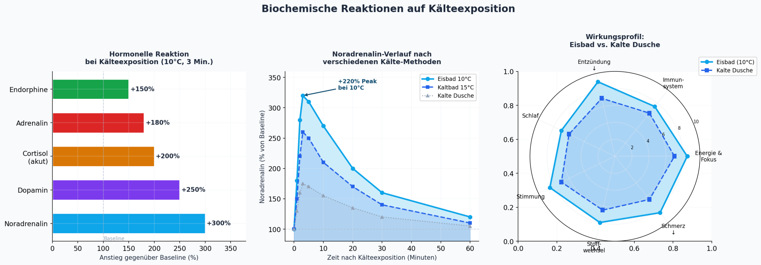 Biochemische Reaktionen auf Kälteexposition