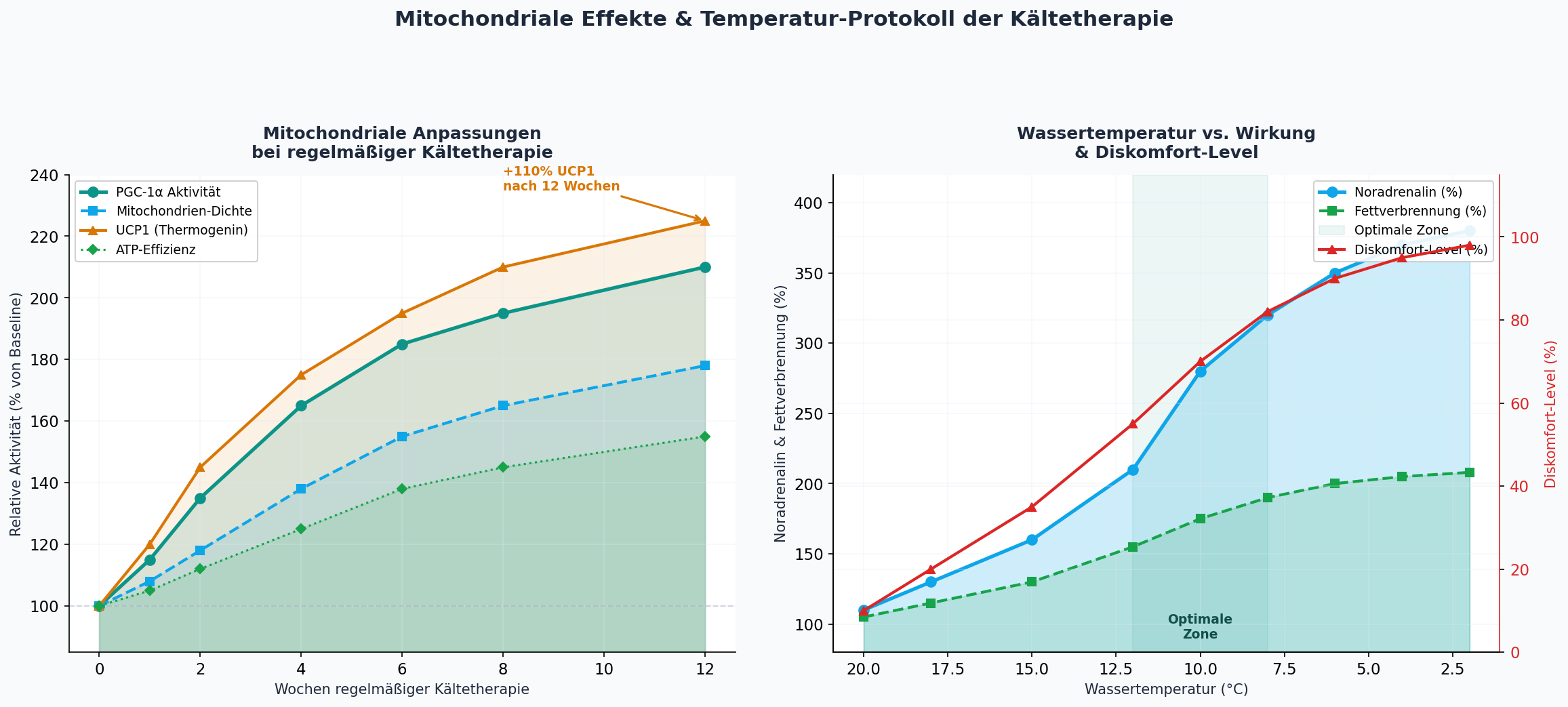 Mitochondriale Effekte und Temperatur-Protokoll
