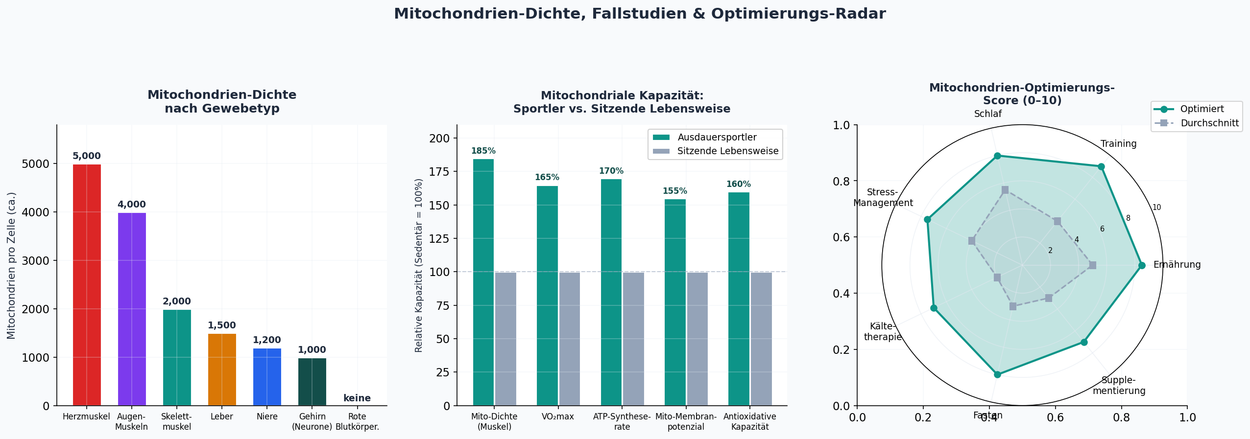 Mitochondrien-Dichte und Fallstudien-Visualisierung